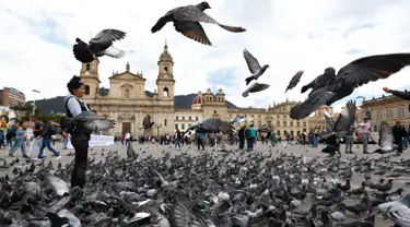 Kawanan burung merpati memenuhi Alun-Alun Bolivar di Bogota, Kolombia, 2 Oktober 2018. Pemerintah Bogota berusaha mengurangi jumlah populasi merpati melalui larangan bagi pengunjung untuk tidak memberi makan lagi burung-burung itu. (AP/Fernando Vergara)