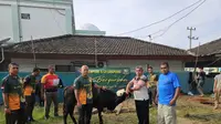 Denpom II/3 Lampung Gelar Pemotongan Hewan Kurban, Bagikan Lebih dari 500 Paket Daging kepada Warga