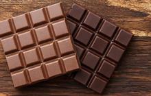 Perbedaan Cokelat Hitam dan Cokelat Susu, Mulai dari Bahan Pembuatan hingga Manfaat Kesehatan