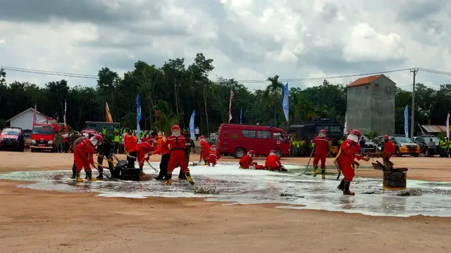 Karhutla di Sumsel, Gubernur Herman Deru : Itu Penyakit Menahun
