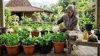 Sayuran di Pot Cepat Layu? Kenali Bahan Dapur yang Bisa Membantu Pertumbuhannya