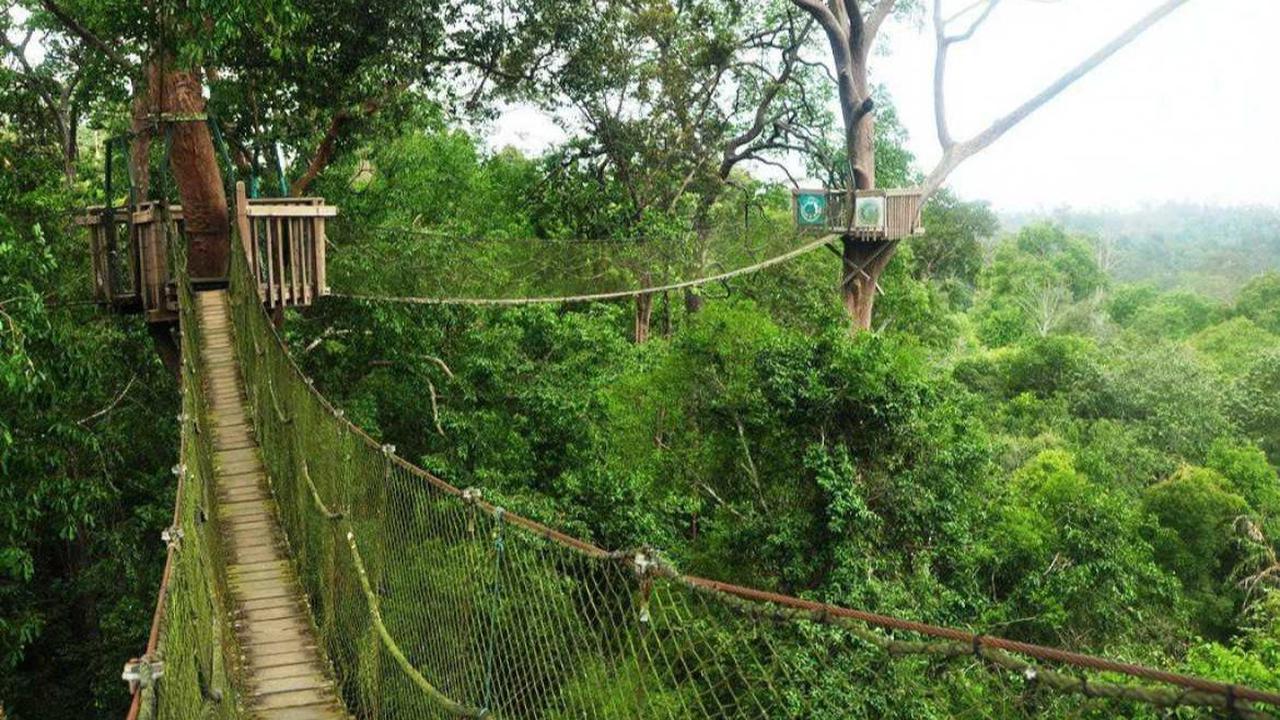 <b>Wahana Canopy Bridge</b>