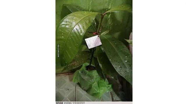 6 Hadiah Pernikahan Ini Nyeleneh Banget, Bikin Tepuk Jidat