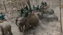 Seekor badak menyerang petugas konservasi yang menunggangi gajah di Taman Nasional Chitwan, Nepal (4/4). Kelima badak bercula satu yang terancam punah itu akan dikembangbiakkan populasinya di Taman Nasional Chitwan.  (AFP Photo / Prakash Mathema)