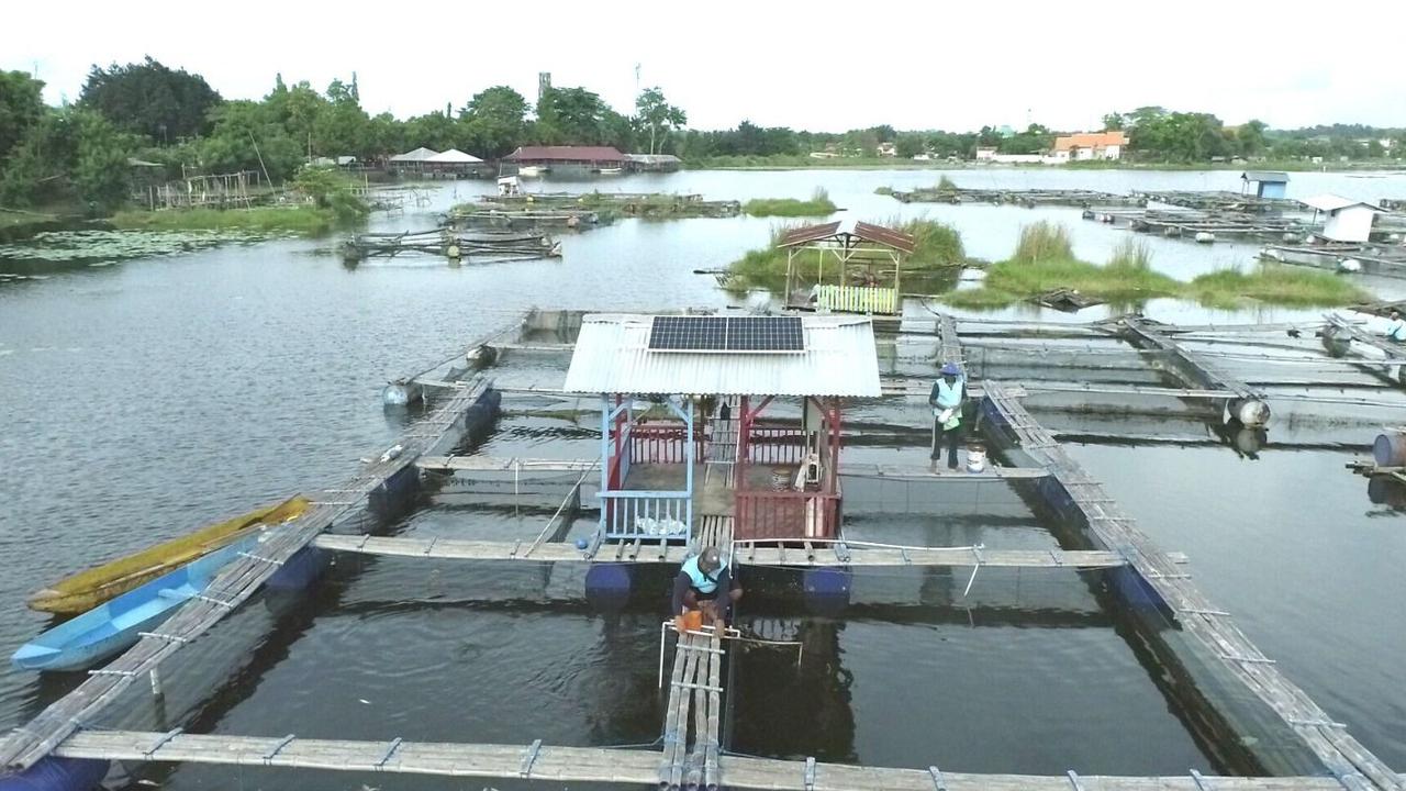 Keramba Kini Pakai PLTS, Nelayan Danau Ranu Tak Lagi Bergantung pada Genset