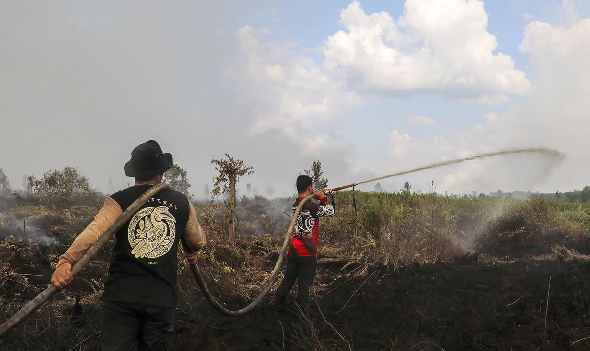 Kemarau Panjang Picu Kebakaran Lahan Gambut di Pulang Pisau