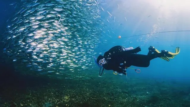 7 Potret Seru Liburan Prilly Latuconsina ke Ternate, Seru Nyamar Jadi Ikan