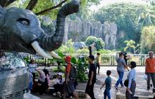 Apa Daya Tarik Kebun Binatang Ragunan? Ternyata Bukan Sekadar Melihat Hewan