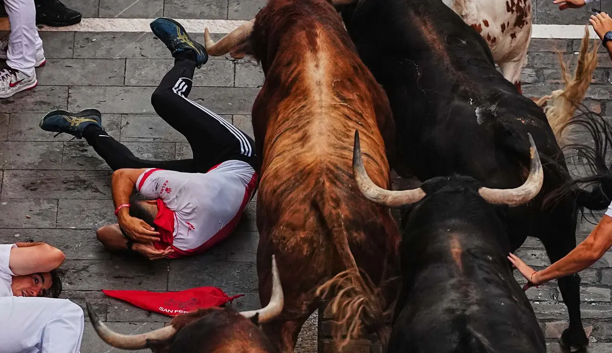 Seorang pengunjung festival terjatuh di depan banteng-banteng aduan Victoriano del Río saat acara lari banteng ketiga di festival San Fermín di Pamplona, Spanyol, Kamis, 9 Juli 2026. (AP Photo/Miguel Oses)