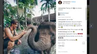 Vlogger Terkenal Tewas Usai Jatuh dari Air Terjun