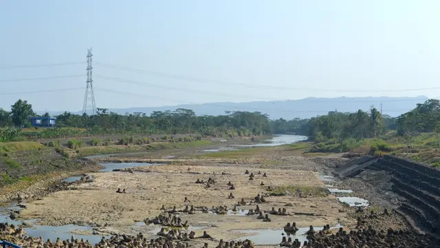 Debit Bendung Menganti, Sungai Citanduy, Jawa Barat menyusut drastis akibat kemarau. (Foto: Liputan6.com/Muhamad Ridlo)