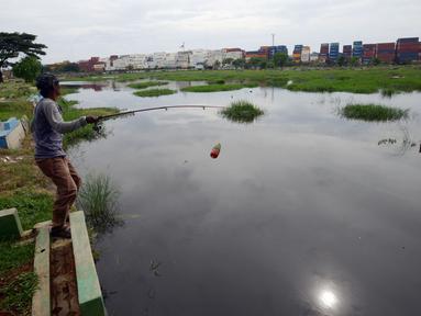 Warga memancing ikan di Tempat Pemakaman Umum (TPU) Semper yang terendam banjir, Jakarta, Kamis (11/11/2021). Ratusan makan di TPU Semper terendam banjir akibat hujan deras yang menguyur Ibu Kota beberapa hari lalu. (merdeka.com/Imam Buhori)