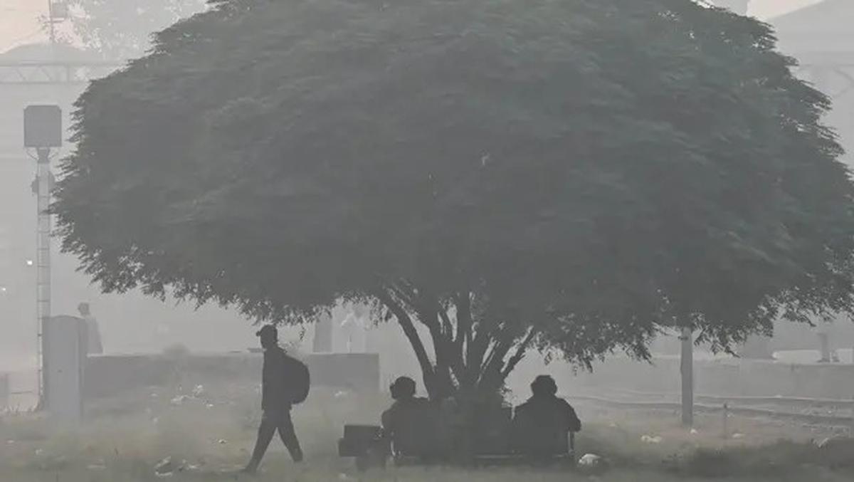 Potret Kota Lahore Pakistan Berselimut Kabut Polusi
