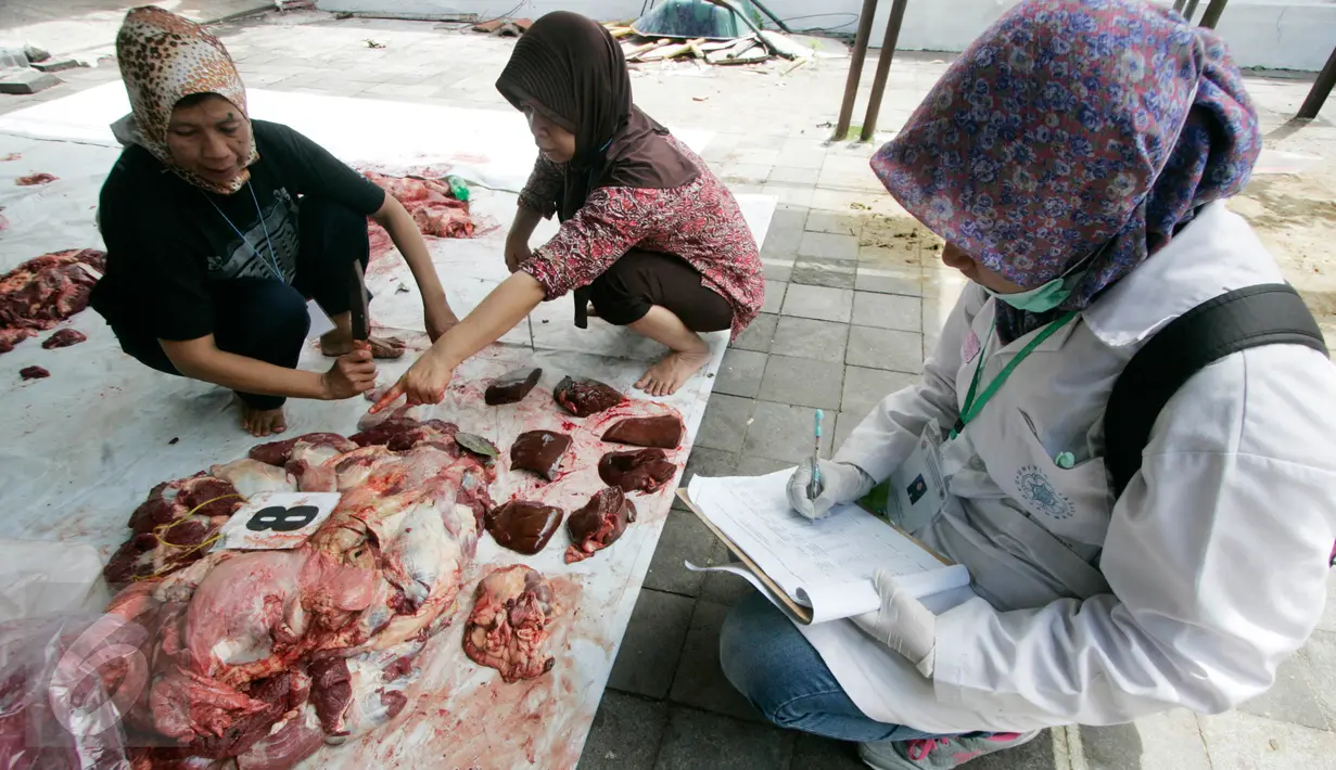 Daging yang telah diperiksa didata oleh Mahasiswa dari Fakultas Kedokteran Hewan UGM di Masjid Kauman, Yogyakarta, Senin (12/9). Pemeriksaan dilakukan untuk memastikan tidak ada cacing hati atau penyakit antrax. (Liputan6.com/Boy Harjanto)