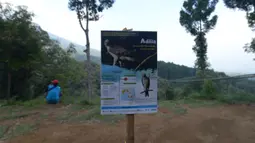 Suasana lokasi pelepasan Elang Brontok (Nisaetus Cirrhatus). Lokasi yang berada di area berkemah di Cangkuang, Cidahu, Jawa Barat ini ditentukan setelah melewati habitat (habitat assesment) yang dilakukan oleh Balai TNGHS. (merdeka.com/Imam Buhori)