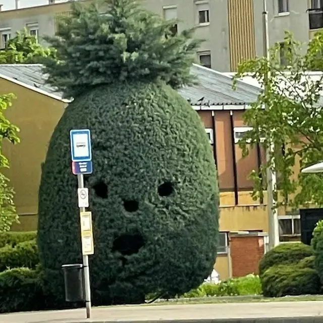 Desain Taman Nyeleneh Mirip Monster