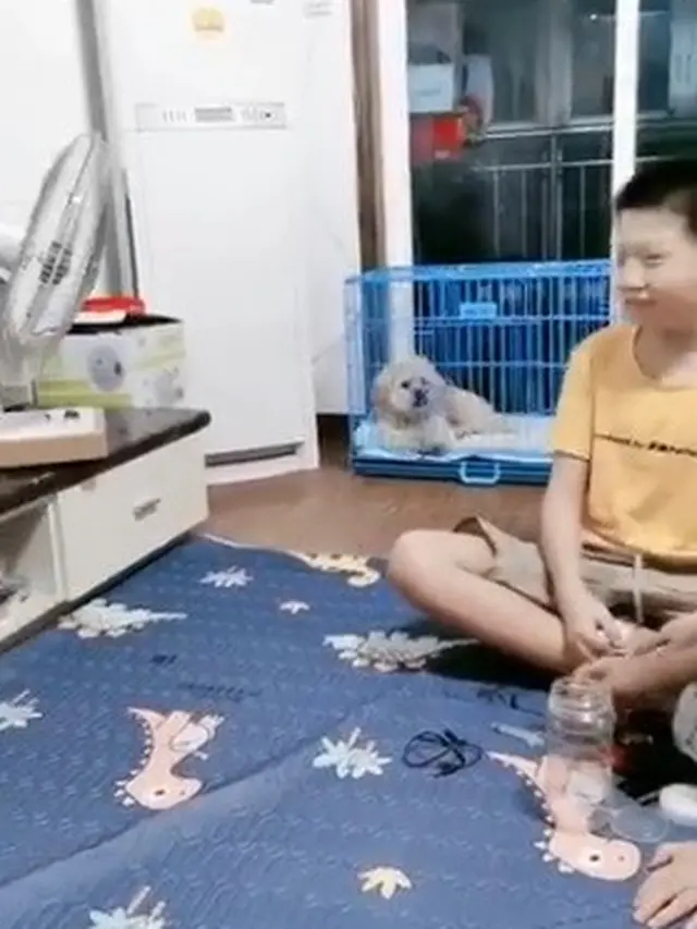 aksi anjing pintar viral