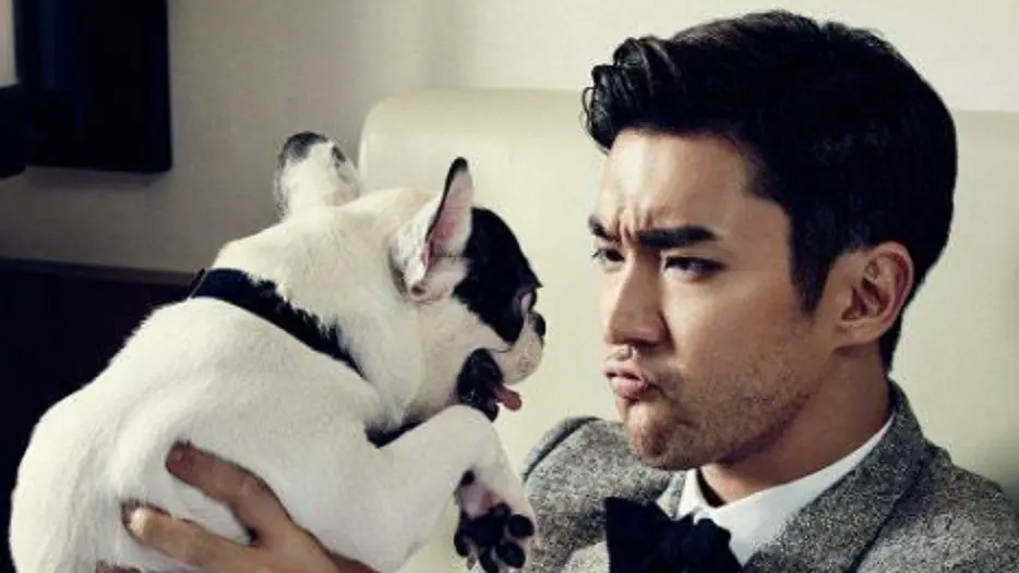 Siwon `Super Junior` (Officiel Homme)