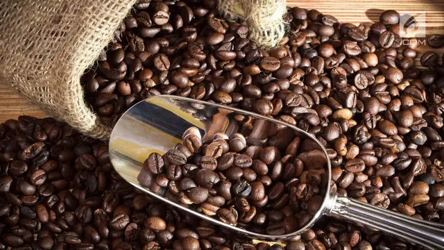 Biji Kopi