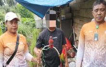 Fakta Unik Nuri Ternate dan Kalung Ungu: BKSDA Maluku Amankan Satwa Dilindungi dari Pertokoan Warga di Halmahera Utara