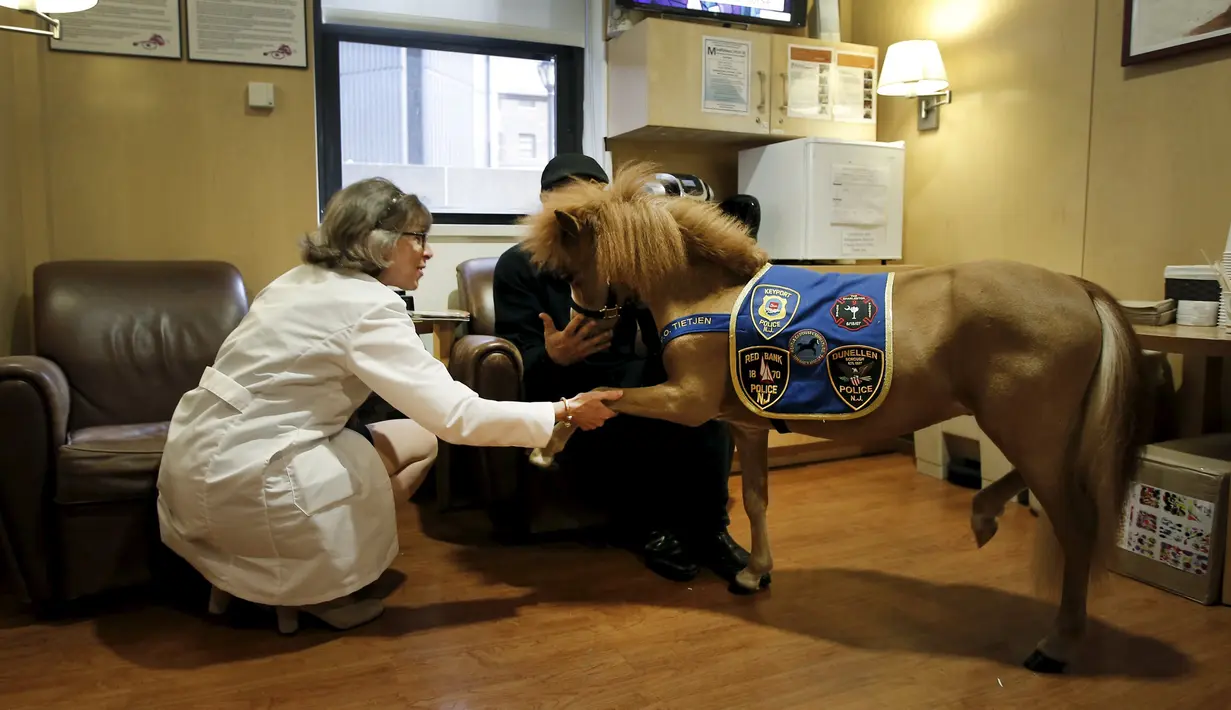 Handler Jorge Garcia - Bengochea memegang kuda poni di Rumah Sakit anak Kravis, New York City, (16/3). Kuda ini nantinya akan menghibur para pasien rumah sakit ini. (REUTERS / Mike Segar)
