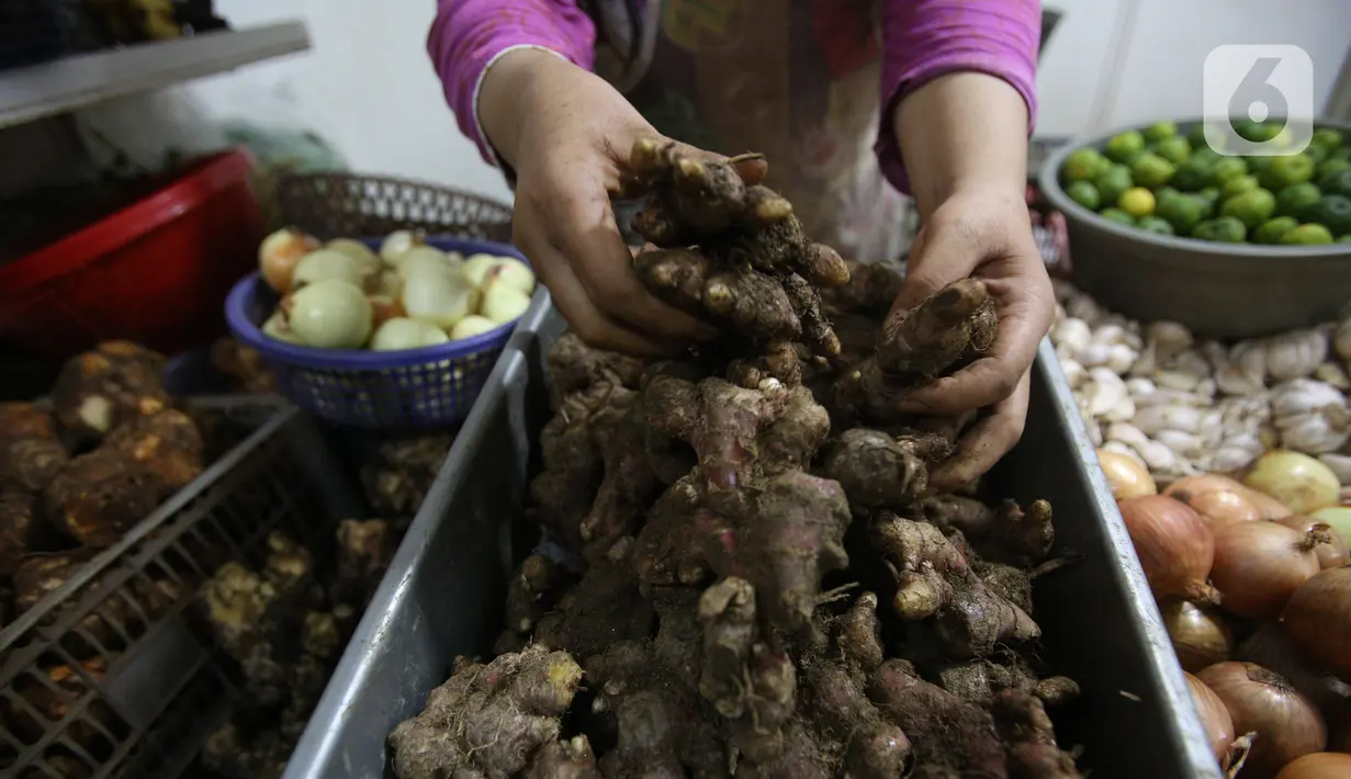 Pedagang menata jahe merah yang dijual di Pasar Rumput, Jakarta, Kamis (5/3/2020). Akibat merebaknya wabah virus corona, harga jahe merah melonjak di pasar itu dan dijual dengan harga Rp 95.000/kg. (Liputan6.com/Angga Yuniar)