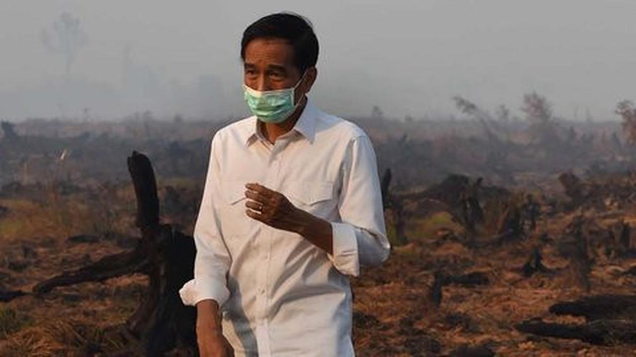 Kabut asap, Presiden Jokowi digugat ke pengadilan