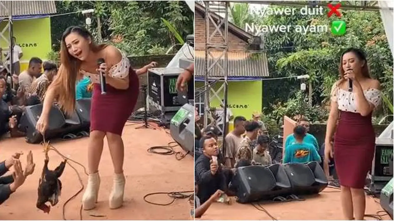 Viral Aksi Nyawer Pedangdut dengan Seekor Ayam Ini Bikin Geleng Kepala