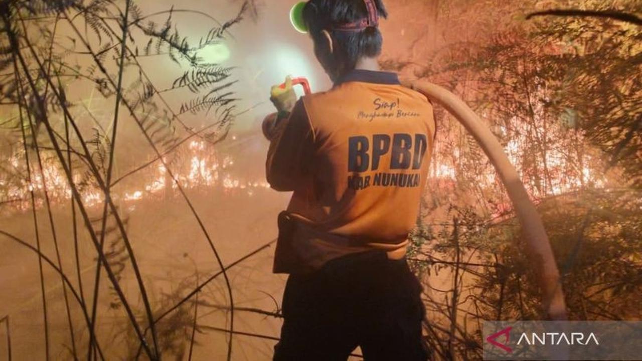 BNPB Intensifkan Pemadaman Kebakaran Lahan di Aceh dan Kalimantan Utara