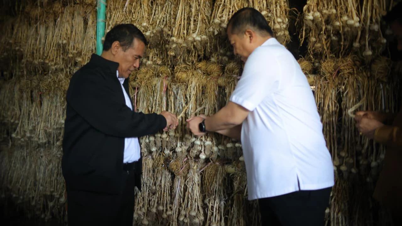 FOTO: NTB Diproyeksikan Jadi Pilar Jagung dan Bawang Putih Nasional