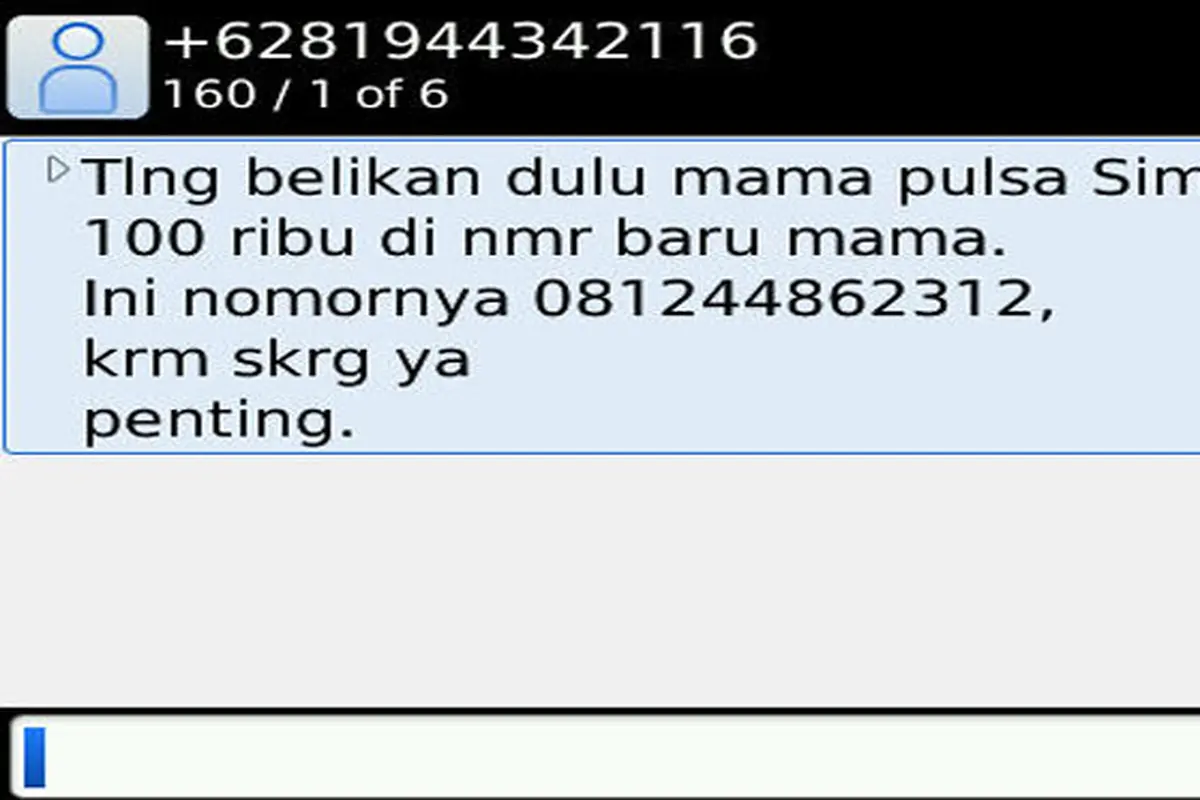 Hore! Komplotan Penipu SMS 'Mama Minta Pulsa' Tertangkap Polisi!