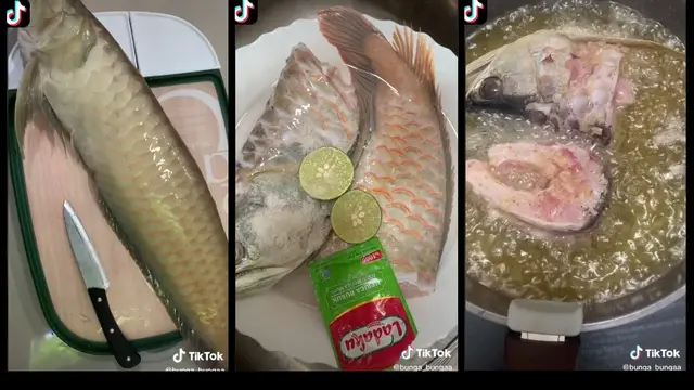 6 Momen Absurd Masak Arwana, Pencinta Ikan Hias Menangis Darah