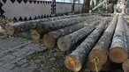 Tumpukan bahan baku batang pohon pinang di kawasan Manggarai, Jakarta, Rabu (9/8/2023). (Liputan6.com/Herman Zakharia)
