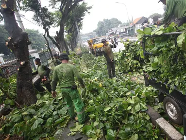 Petugas menebang dahan pohon di kawasan Tanjung Barat, Jakarta, Kamis (16/11). Penebangan dilakukan sebagai langkah antisipasi untuk mencegah pohon agar tidak tumbang saat hujan. (iputan6.com/Immanuel Antonius)