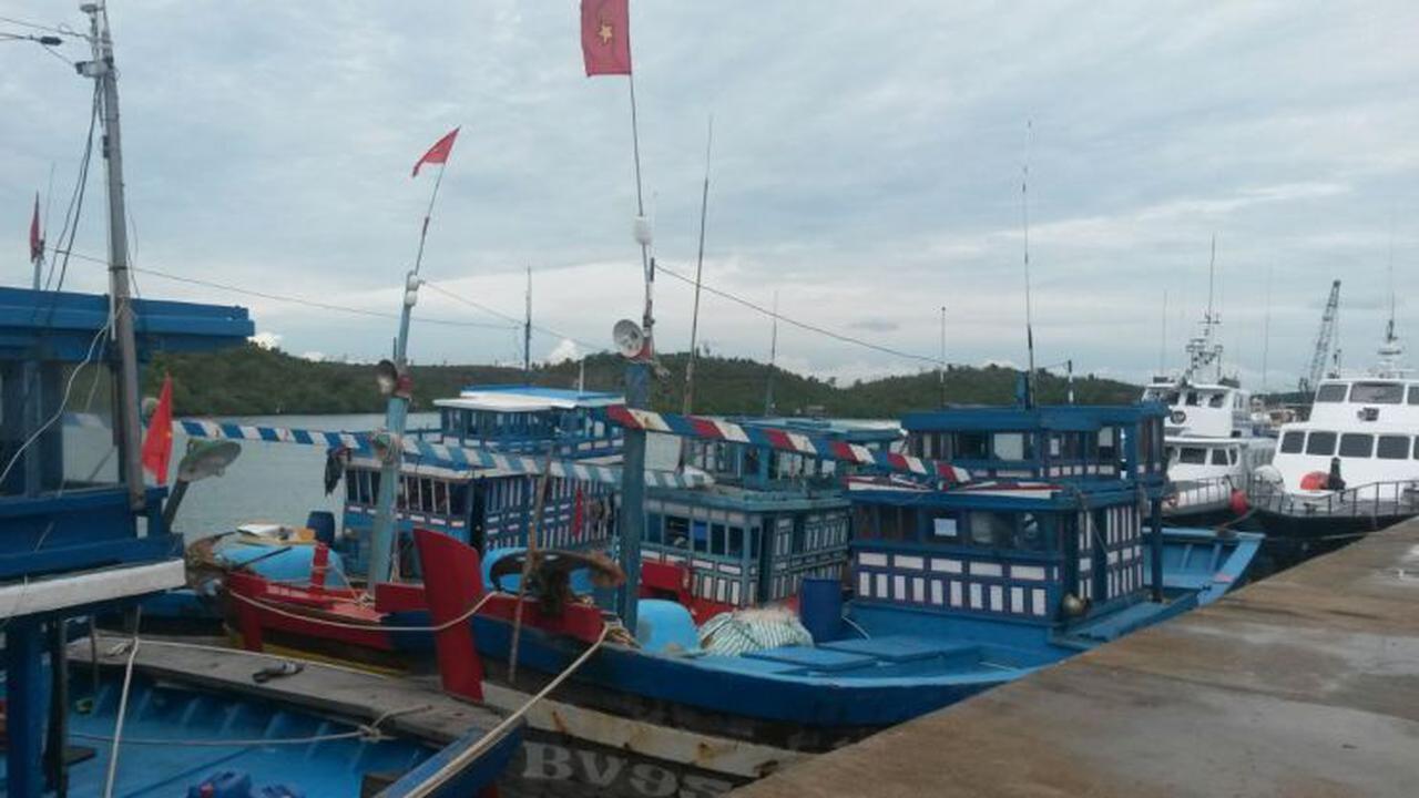 Kementerian Kelautan dan Perikanan (KKP) kembali menangkap enam kapal perikanan asing (KIA) ilegal berbendera Vietnam.