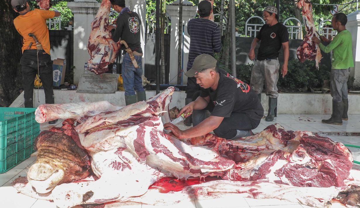 Petugas memotong dan membersihkan daging sapi kurban di Masjid Sunda Kelapa, Jakarta, Rabu (27/5/2026). (merdeka.com/Arie Basuki)