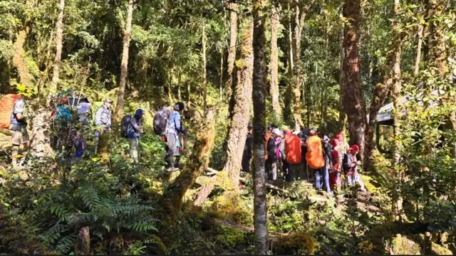 Kemenhut Lanjutkan Pencarian Pendaki yang Hilang Sejak 26 April 2025 di Gunung Binaya Maluku Tengah.  foto: dok. Kemenhut