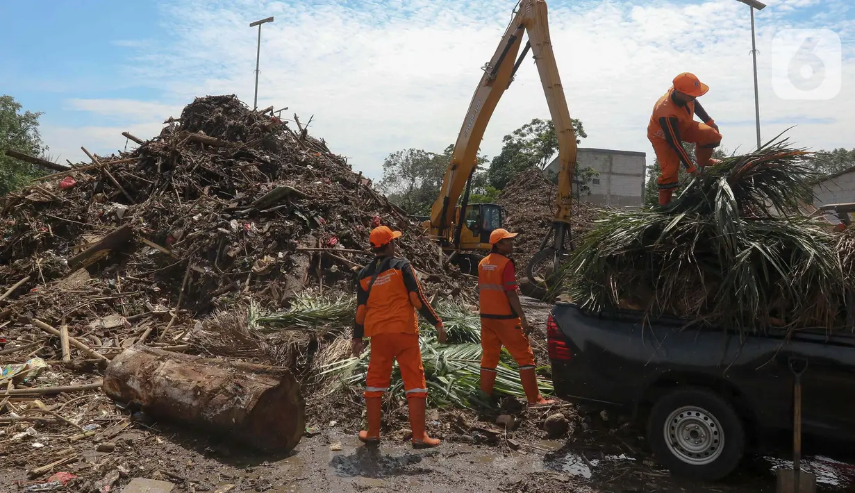 Setiap harinya, ada puluhan ton sampah yang didominasi kayu dan bambu diangkut untuk mengurangi sampah yang mengalir ke Pintu Air Manggarai. (Liputan6.com/Herman Zakharia)