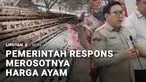 Sementara itu anjloknya harga ayam hidup di tingkat peternak direspons Pemerintah. Kementerian Pertanian bersama Satgas Pangan Polri dan pelaku usaha peternakan akan menaikkan harga jual ayam hidup secara bertahap.
