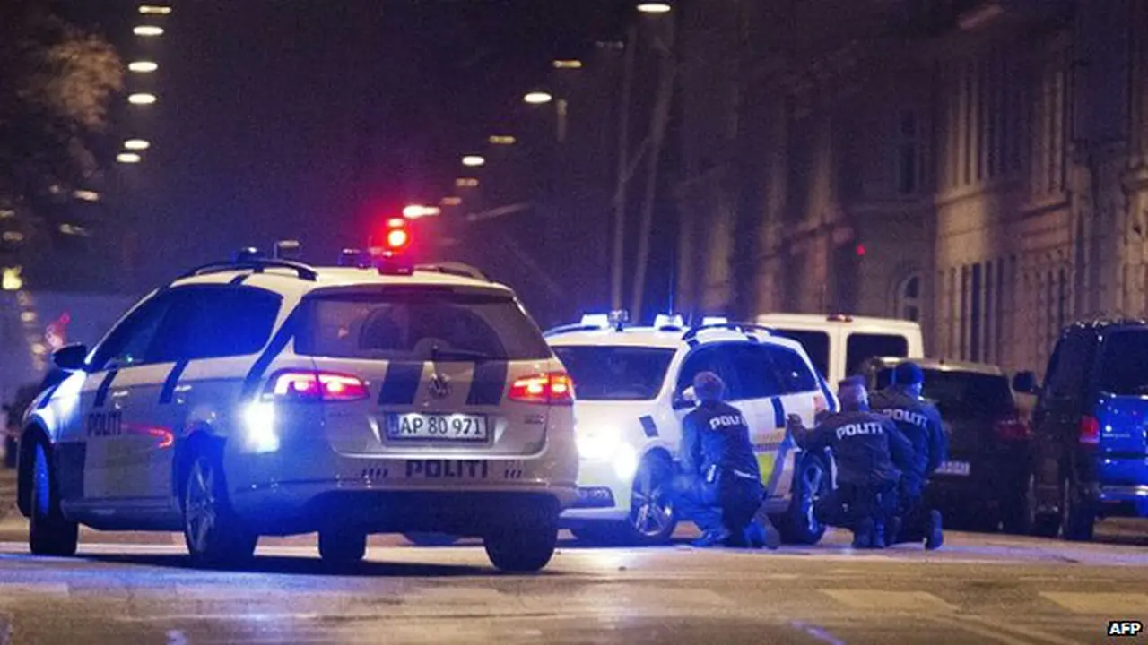 Pelaku Teror di Sinagog Copenhagen Tewas Ditembak Polisi