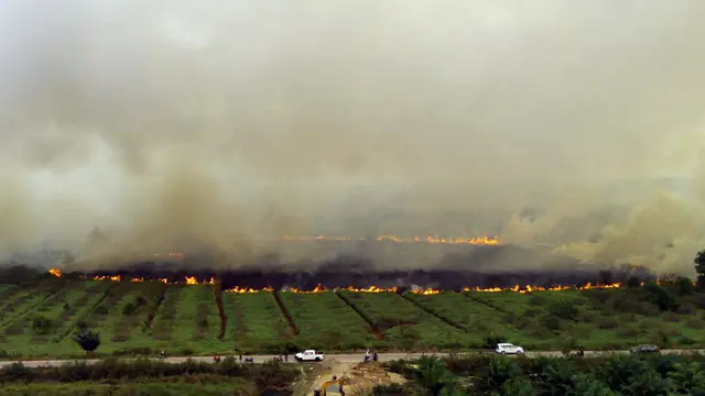 Kebakaran Lahan Gambut di Ogan Ilir