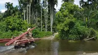 PLN mengajukan PMN 2025 untuk kelistrikan daerah terpencil. (Foto: PLN)
