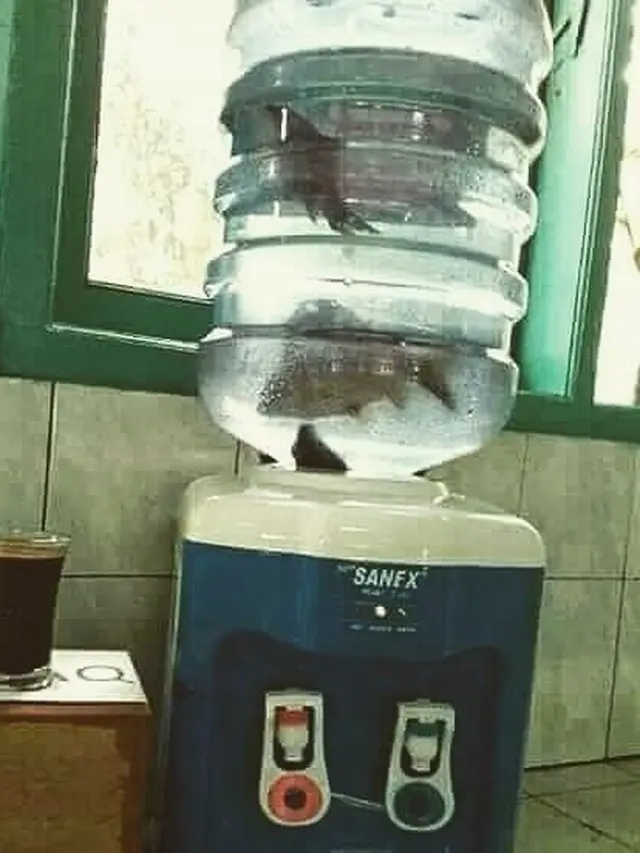 Tak Biasa, 6 Potret Galon Air Ini Kocak dan Nyeleneh Banget