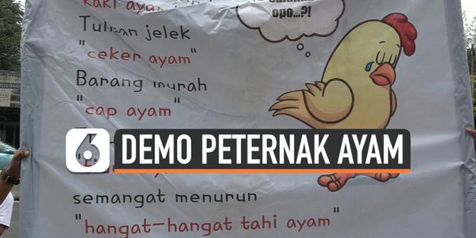 VIDEO: Peternak Ayam Demo di Depan Kemendag, Ini Tuntutannya