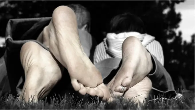 Courtesy ShutterStock.com