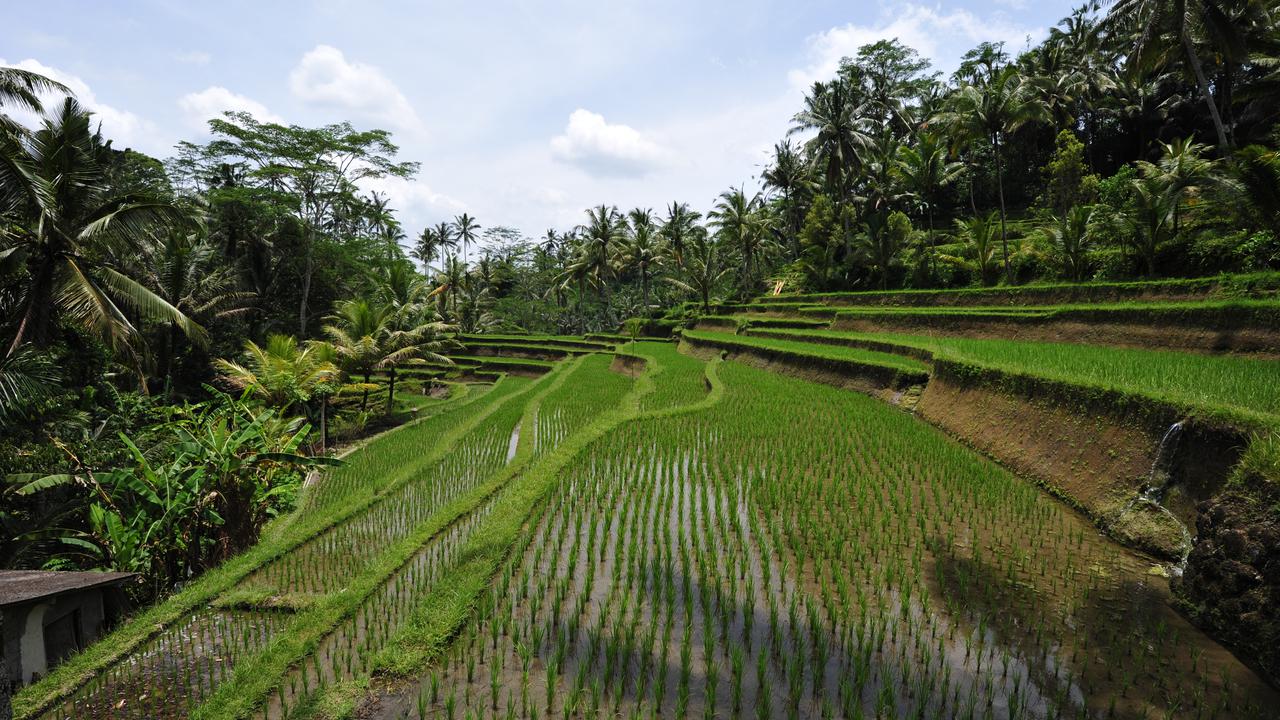 Bali dan Titik Balik Pariwisata: Saat Alam Perlu Menyeimbangkan Diri