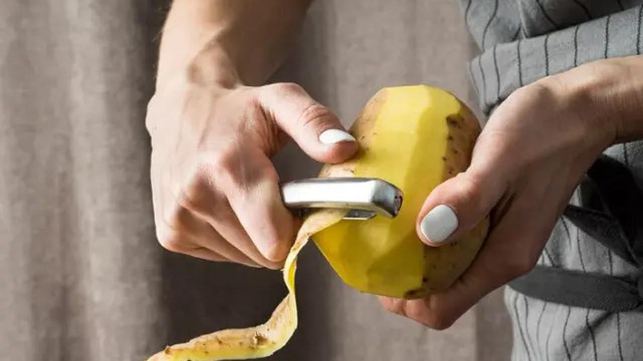 Mudik Nyaman, Si Kecil Lahap! 3 Ide Bekal MPASI untuk Perjalanan