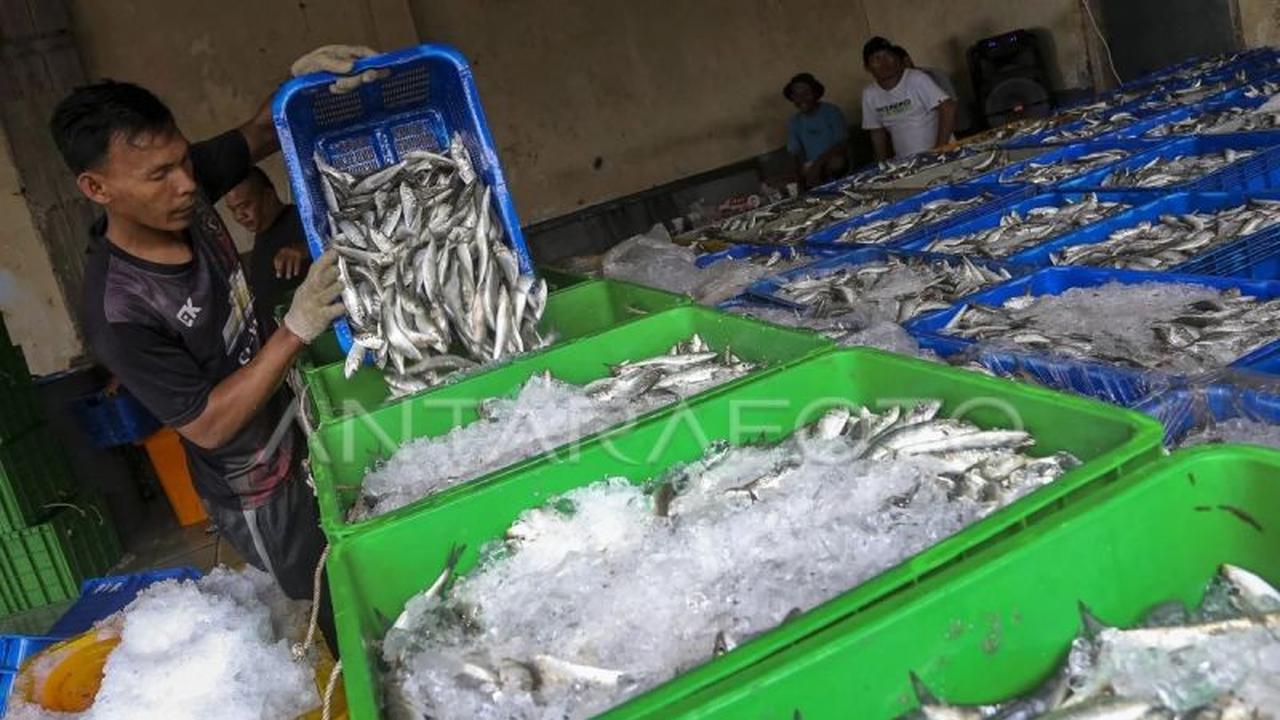Potensi Pangan Biru Indonesia Kuatkan Ketahanan Pangan Global Melalui Akuakultur Berkelanjutan