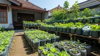 7 Inspirasi Pekarangan Produktif Menggunakan Galon Bekas, Solusi Berkebun Hemat