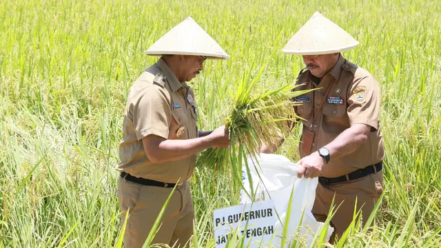 Pemprov Jateng